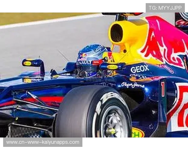 F1巴西大奖赛：塞巴斯蒂安·维特尔宣布退役，感动全场